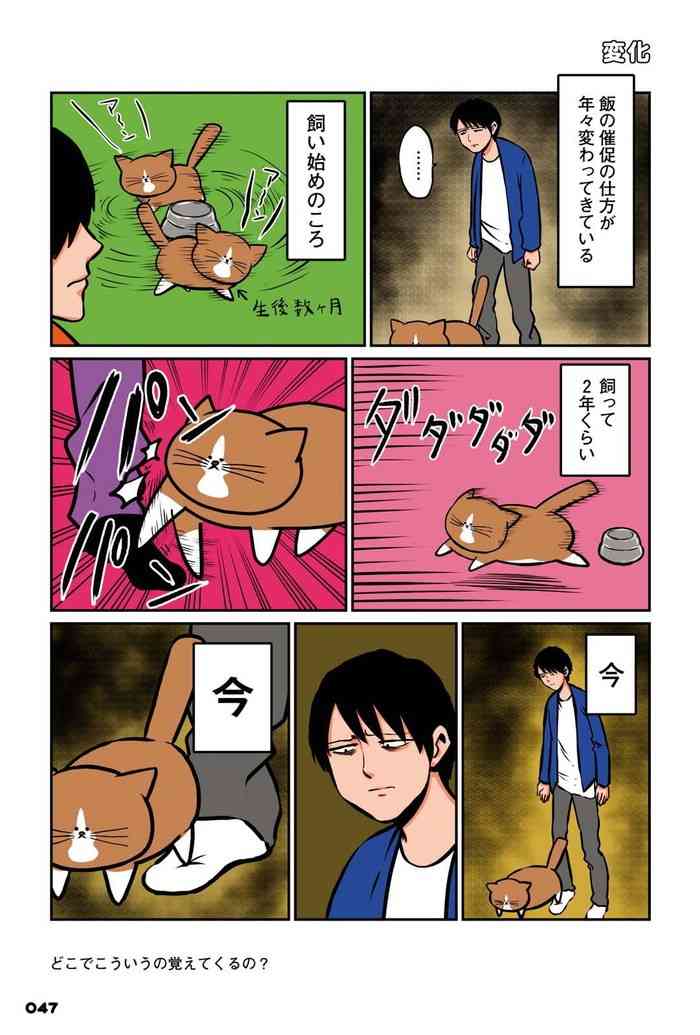 パパの足で8の字回転? 猫がスリスリしておねだりする理由を獣医師に聞いた