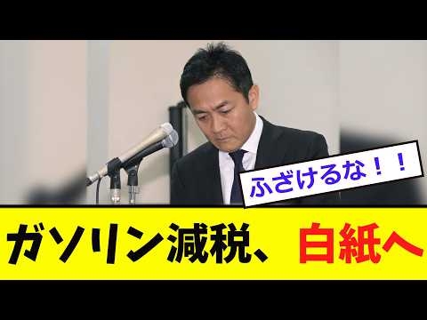 【衝撃】玉木代表、ガソリン減税に「エグイ発表...」