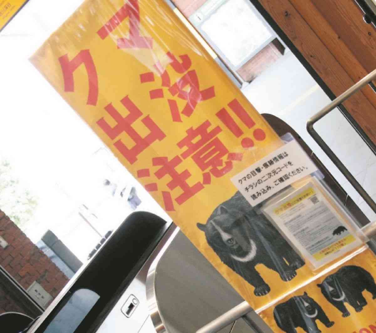 地球上でも珍しい「クマのすむ首都」東京　増える出没に住民「動物園にいるもんだと…」　現場を記者が歩いた：東京新聞デジタル