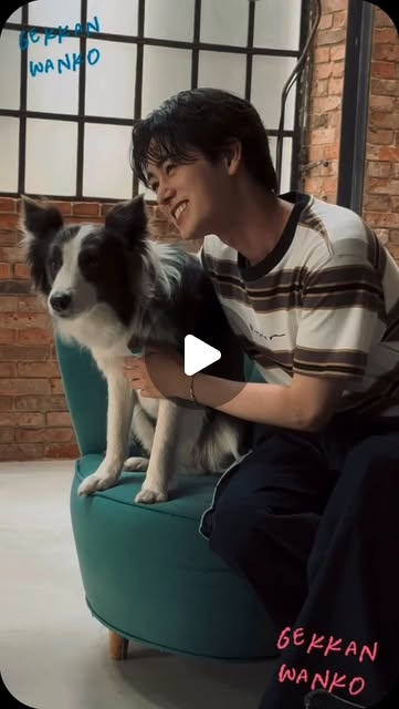 TAG SEARCH | 月刊わんこ vol.20 -Staff Cam Moments -#TAGSEARCH#タグサーチ #タグサ#前田大輔 | Instagram