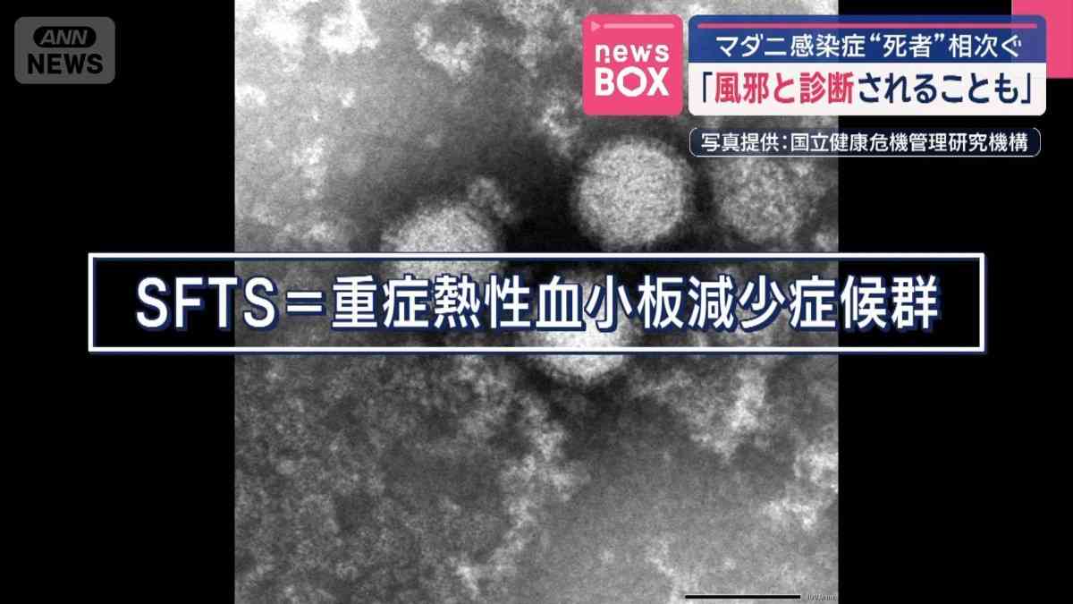 マダニ感染症“死者”相次ぐ　「風邪と診断されることも」