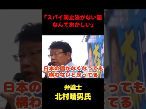「日本はおかしい国です」 #国会 #政治  #北村晴男 #shorts
