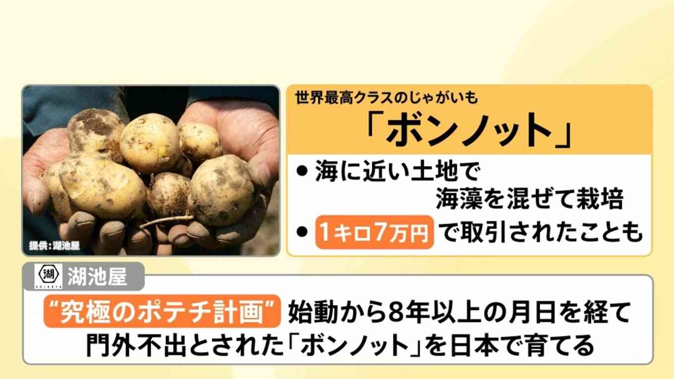 湖池屋“究極のポテチ計画”で1袋625円　生活スタイルの変化でスナック菓子はビジネスチャンスに【Nスタ解説】