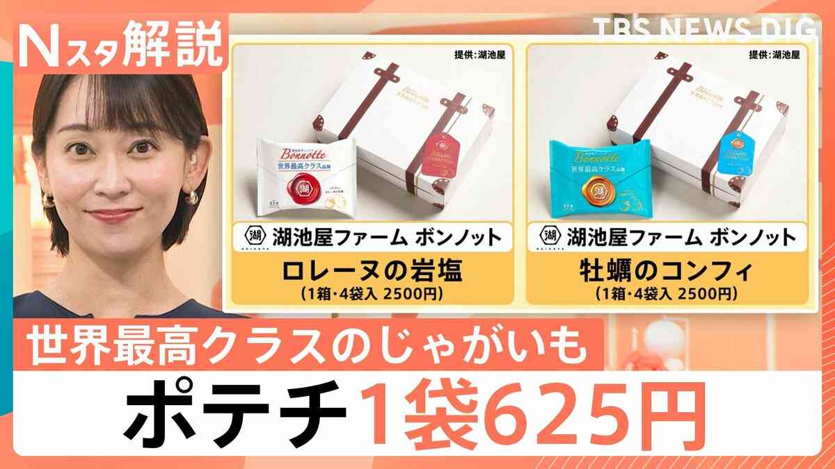 湖池屋“究極のポテチ計画”で1袋625円　生活スタイルの変化でスナック菓子はビジネスチャンスに【Nスタ解説】 | TBS NEWS DIG