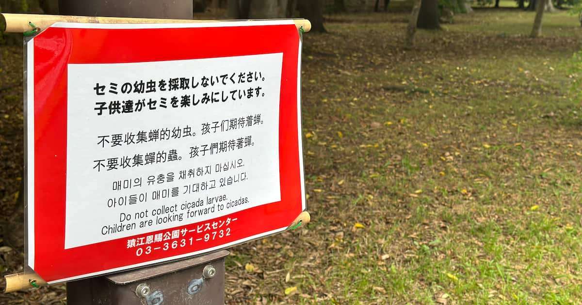 セミの幼虫「採取禁止」の張り紙　都内の公園、食用目的で乱獲か　中国語でも注意喚起 - 産経ニュース