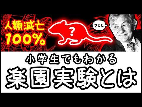 【禁断のマウス実験】食料∞・病気や天敵ゼロなのに滅亡…楽園実験「ユニバース25」とは何か？【科学・ざっくり解説】