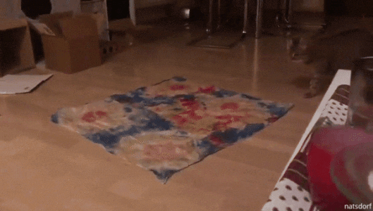 パパの足で8の字回転? 猫がスリスリしておねだりする理由を獣医師に聞いた