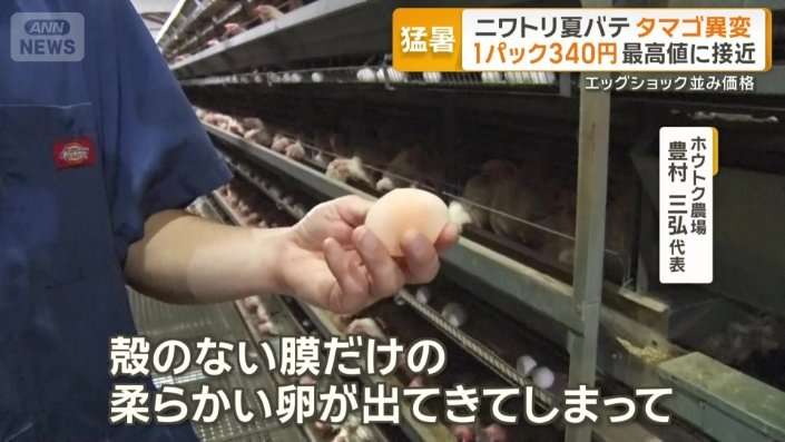 “殻がなく黄身透けた卵” ニワトリも夏バテ…卵に異変　1パック340円で最高値に接近　「エッグショック」再来か