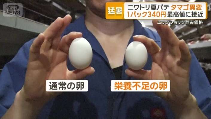“殻がなく黄身透けた卵” ニワトリも夏バテ…卵に異変　1パック340円で最高値に接近　「エッグショック」再来か