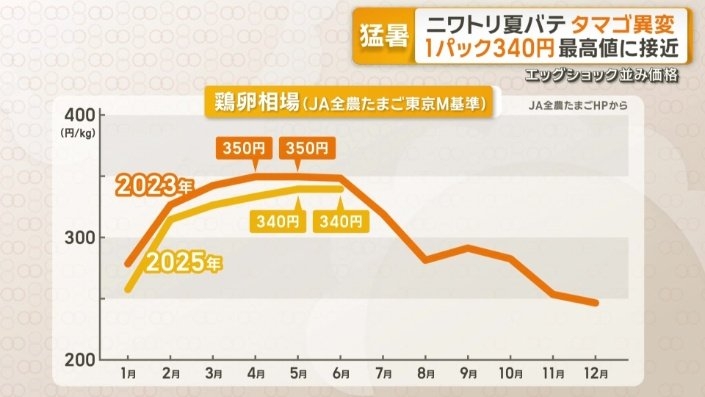 “殻がなく黄身透けた卵” ニワトリも夏バテ…卵に異変　1パック340円で最高値に接近　「エッグショック」再来か