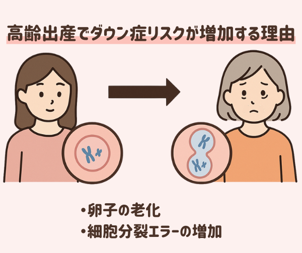 参政党の神谷代表「高齢の女性は子ども産めない」　公示第一声で言及