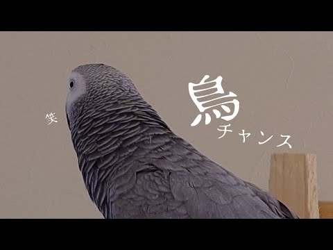 今、チャンス逃しましたよ？