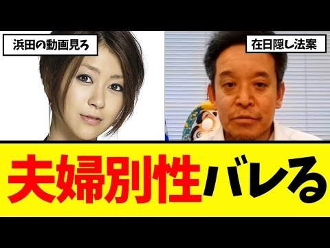 【衝撃】「選択的夫婦別姓制度」は在日隠し法案！！！浜田議員、全て言ってしまうwww