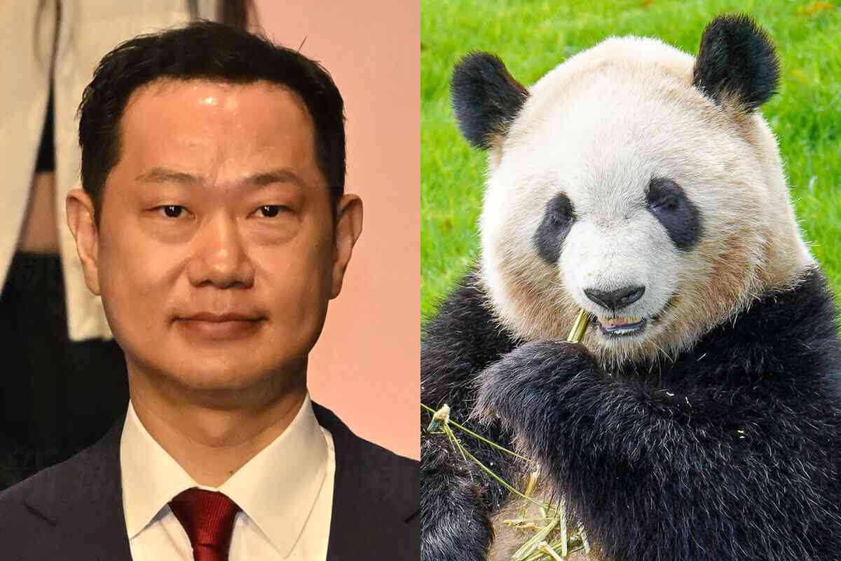 崖っぷち「二階元幹事長の息子」が訴える「中国から再びパンダを！」　【参院選和歌山選挙区】 | デイリー新潮
