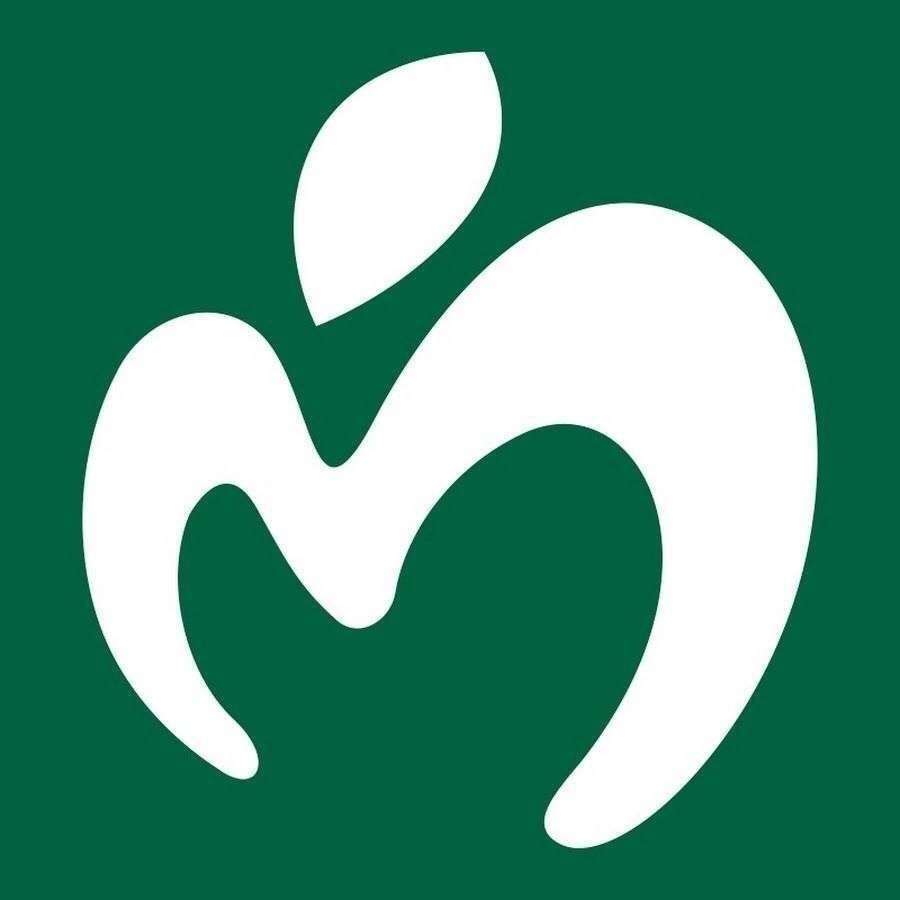 Mrs. GREEN APPLE好きな人🍏part19【アンチ厳禁】