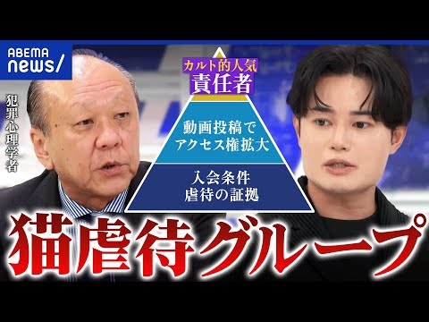 【猫虐待グループ】組織的犯行？動物虐待する人の心理とは？背景に歪んだ優越感も？│アベプラ