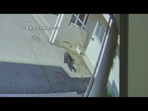 クマが中学校に進入　副校長がクマの前に立ちはだかりにらみ合い、生徒守る　岩手県滝沢市 (25/08/18 15:45)