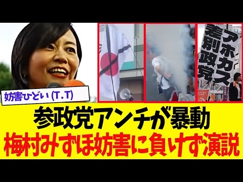 【参政党速報】「日の丸にバツ印」抗議行為に怒りの声　梅村みずほ氏「国旗損壊罪は必要」