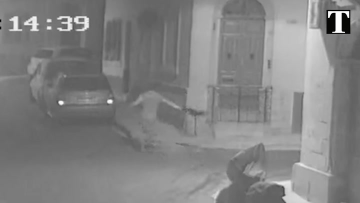 CCTV footage shows man slamming cat to the ground
