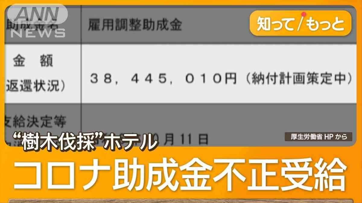 富士山さえぎる樹木を勝手に伐採か　ホテル経営者、コロナ助成金3800万円不正受給