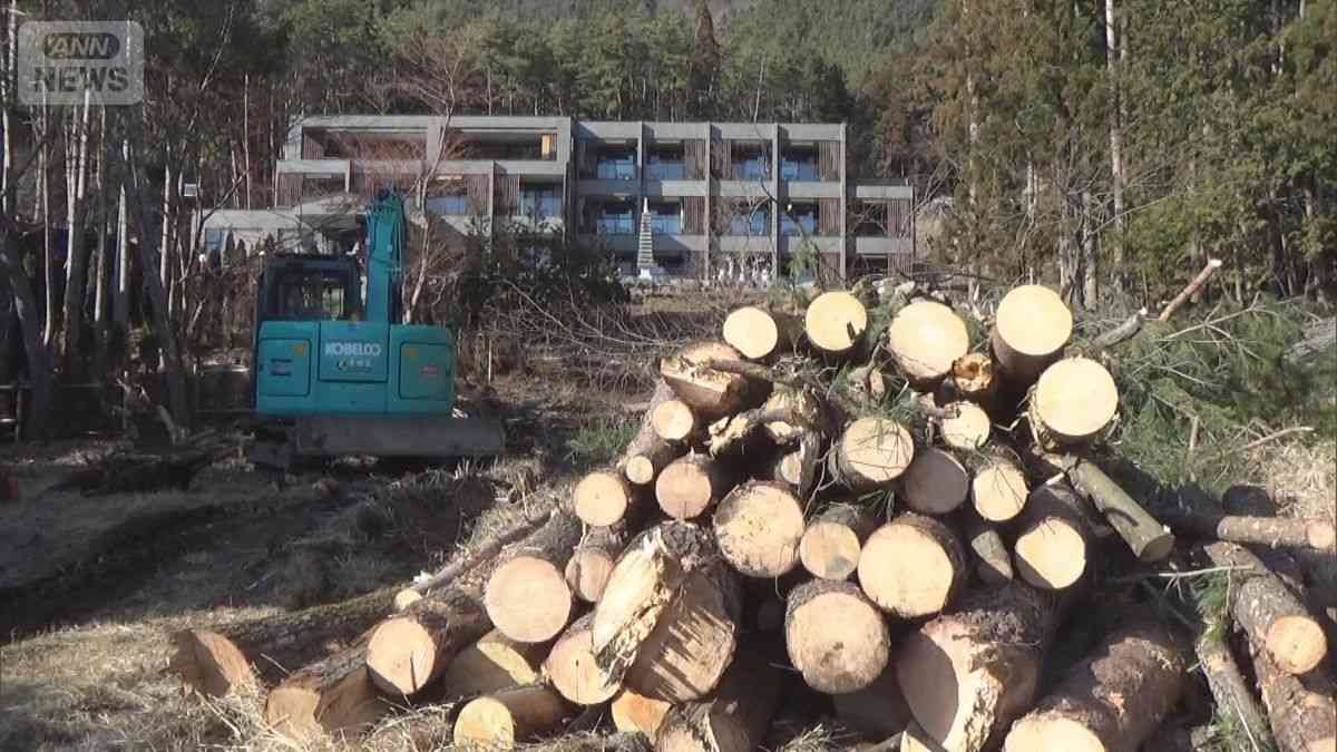 富士山さえぎる樹木伐採　中国人の男に執行猶予付き有罪判決　「非常に軽い」被害者憤り（テレビ朝日系（ANN）） - Yahoo!ニュース