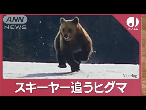 「みんな逃げて！」ヒグマ”猛追3分間”スキーヤー追うヒグマ(2023年11月24日)【スーパーJチャンネル】