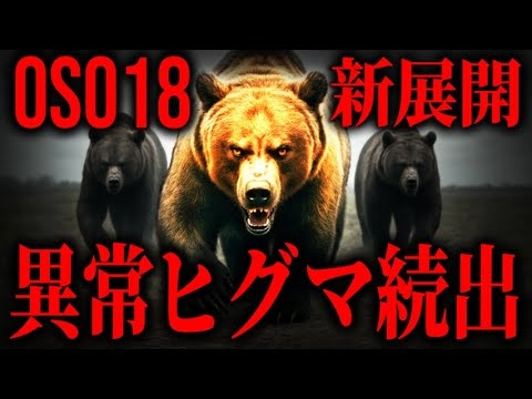 【緊急】OSO18級ヒグマ…標茶町に大量潜伏していた｜ついに確定！肉食化の原因
