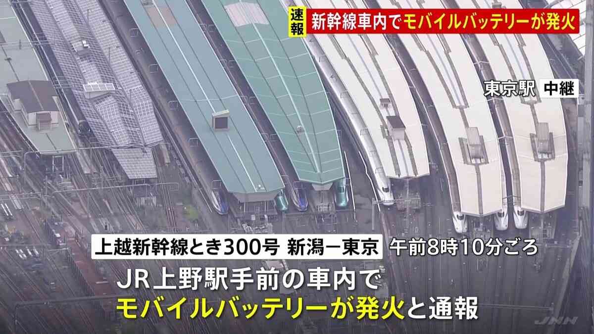 【速報】JR上野駅に到着予定の上越新幹線内でモバイルバッテリー発火 58歳男性が右手やけど | TBS NEWS DIG (1ページ)