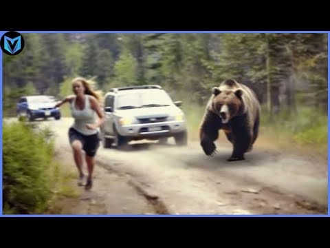 ハイキング中、ツキノワグマに襲われる
