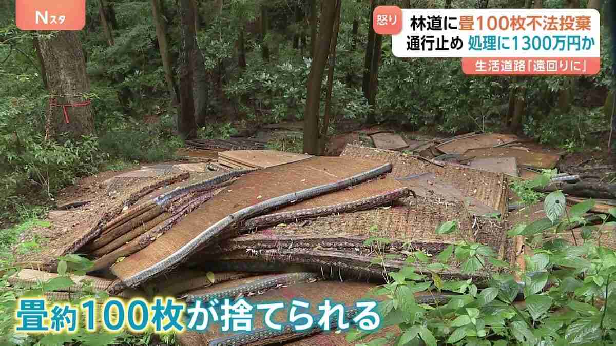 「腹立たしいし強い憤り」林道に畳100枚不法投棄…生活道路が通行止めに、処理費用は1300万円見込み | TBS NEWS DIG