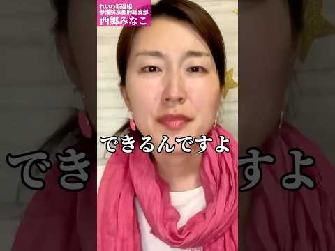 消費税を廃止したり減税した国ってあるの？#れいわ新選組 #西郷みなこ #積極財政50本ノック #消費税は廃止 #令和の西郷