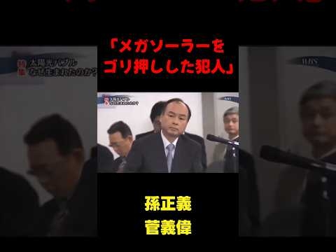 「日本の自然を破壊した犯人」 #政治 #国会  #メガソーラー #shorts #切り抜き