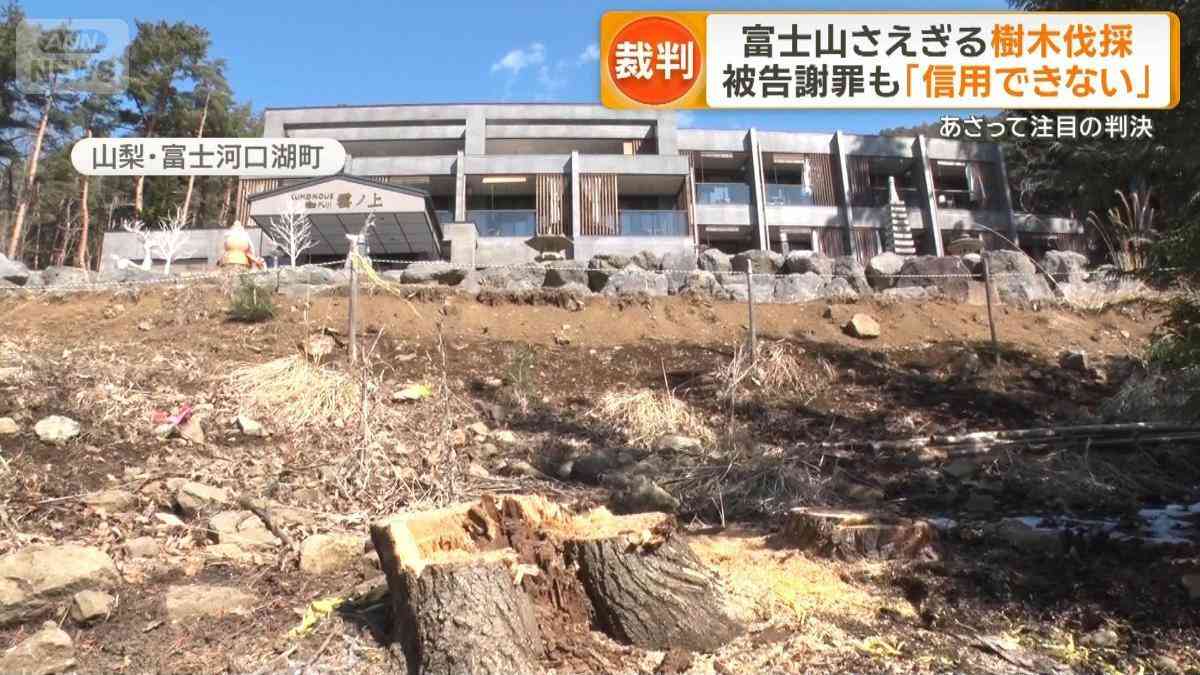 富士山遮る樹木伐採した中国人経営者にあさって判決　同胞から「恥かかせるな」（テレビ朝日系（ANN）） - Yahoo!ニュース