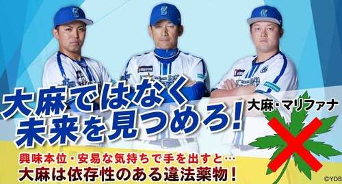 【悲報】参政党・神谷宗幣 「大麻栽培を解禁しよう」「日本でこれだけ禁止されるのは何かがおかしい！」　高樹沙耶ら大麻界隈からも応援される : なんJ政治ネタまとめ