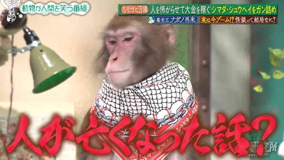 「エンタメに使うのは違う」ヒカルとコラボしたギャル霊媒師が急逝した盟友29歳実業家からの“警告”を代弁、故人のコンテンツ化に疑問の声