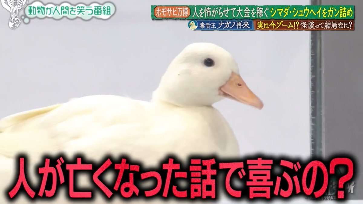 「エンタメに使うのは違う」ヒカルとコラボしたギャル霊媒師が急逝した盟友29歳実業家からの“警告”を代弁、故人のコンテンツ化に疑問の声