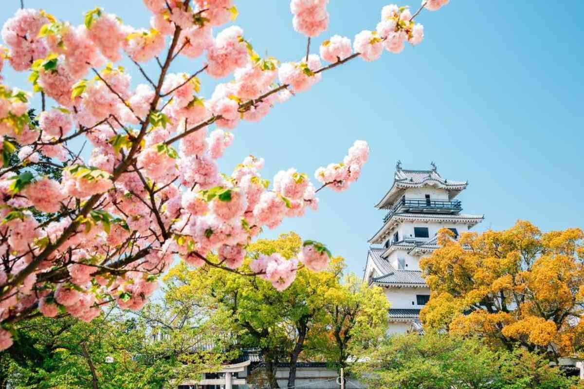 タンザニアへの町の「譲渡」を否定、誤情報拡散で反移民めぐる反発の声（CNN.co.jp） - Yahoo!ニュース