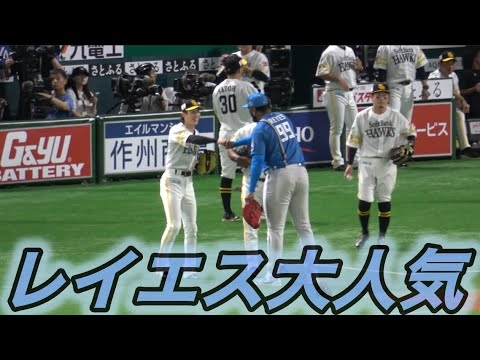 レイエス大人気?首位決戦前に癒される↗️ホークス選手＆日本ハムナインが仲良く挨拶?万波中正・周東佑京・柳町達・近藤健介・牧原大成・伏見寅威・山川穂高・ダウンズ・川瀬晃・水谷瞬⚾️2025.8.9