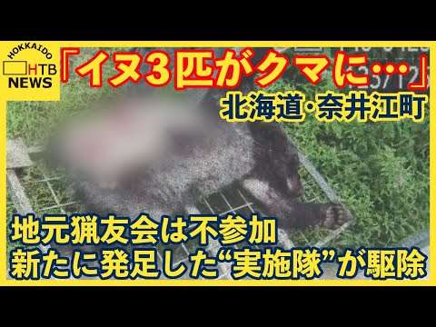 「３頭がクマに…」クマが犬を襲撃　札幌のハンターが駆除　地元猟友会不在の対応は…　奈井江町