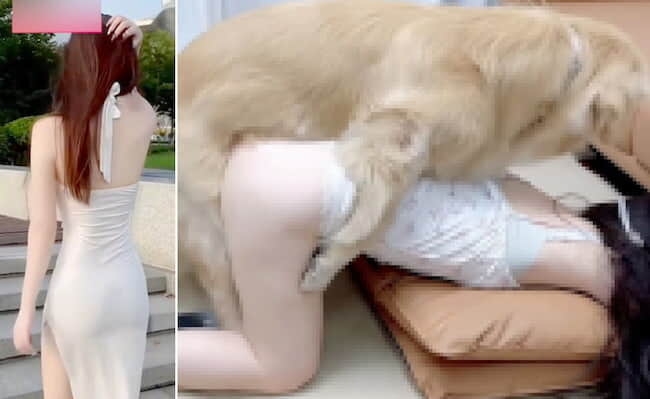 【狂気】獣姦AVに出演した女の子、犬に中出しされチ●コが膨らみ抜けなくなった結果…（動画あり） - ポッカキットポッカキット