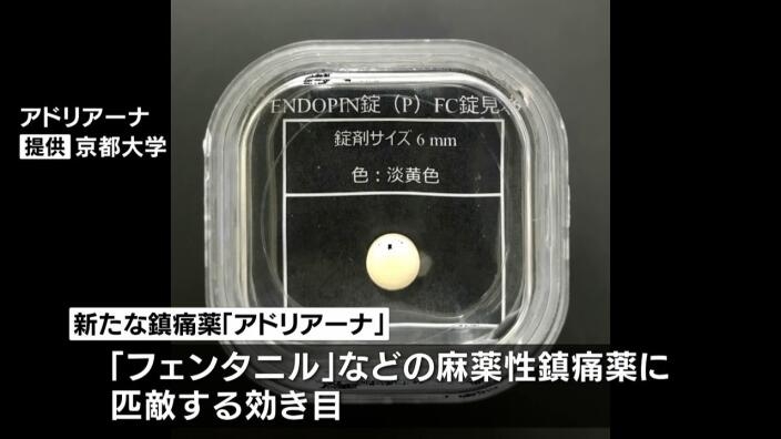 京都大学が“依存性少ない新たな鎮痛薬”を開発　アメリカで社会問題となっている「フェンタニル」に匹敵する効き目　早ければ２０２８年の実用化を目指す | MBSニュース