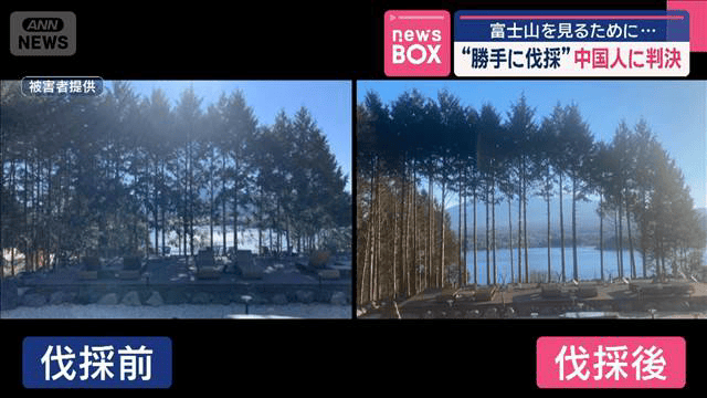 ホテルから富士山を見るために…“勝手に伐採”　中国人に判決