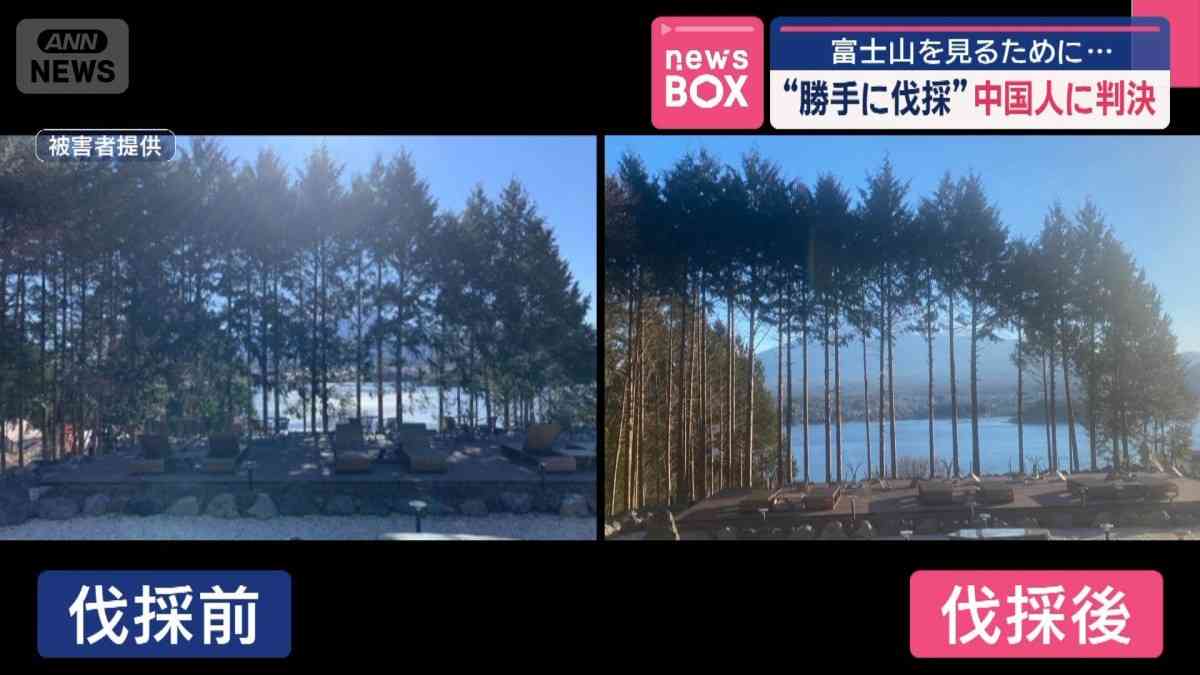 富士山を見るために…“勝手に伐採”　中国人に判決