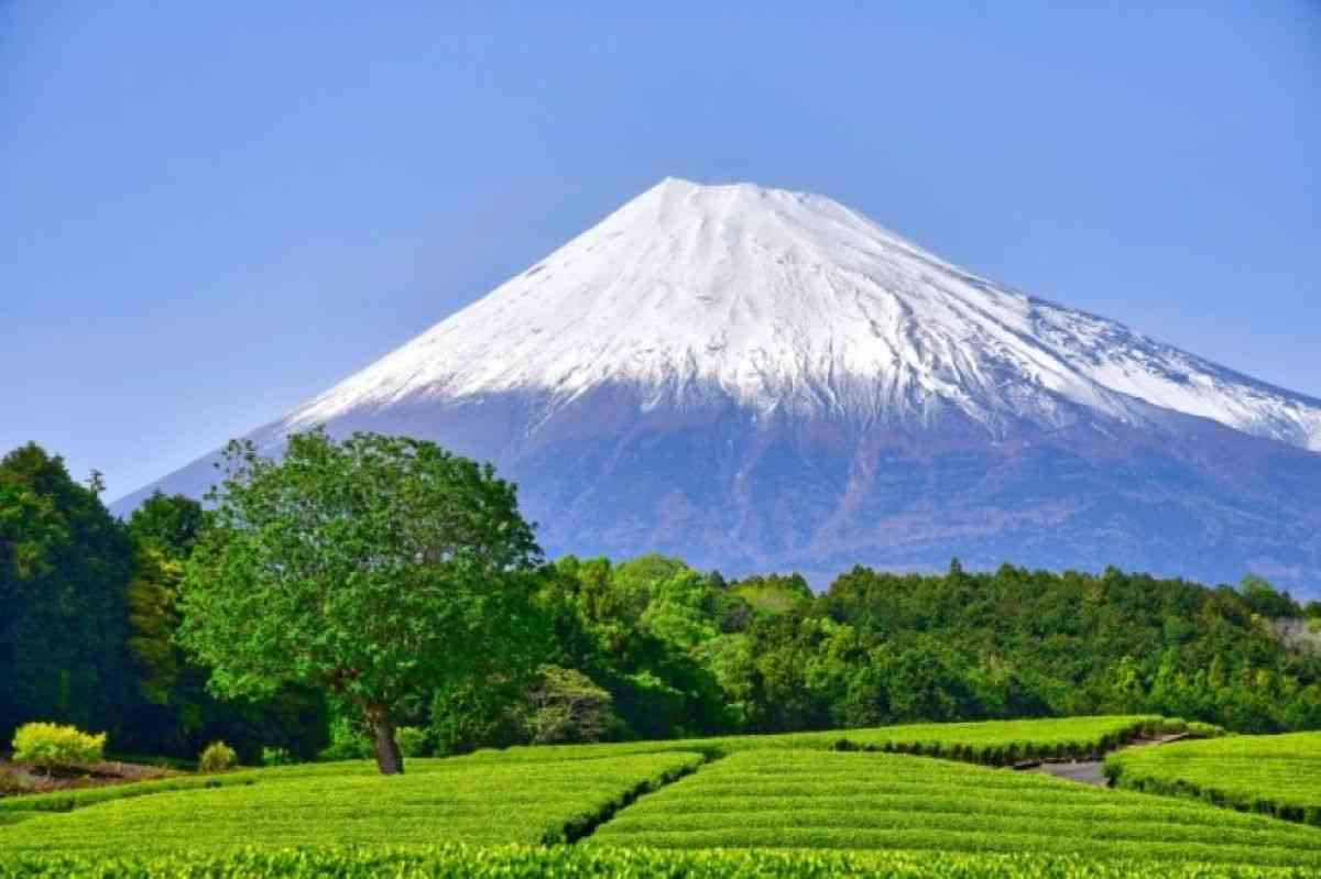 富士山を模して丘を白く塗装、観光客を呼び込もうとする中国のテーマパーク | カラパイア