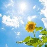 緊急事態条項が可決して、憲法から基本的人権が消されるのが怖すぎる?安全性が不明... | ガールズちゃんねる - Girls Channel -
