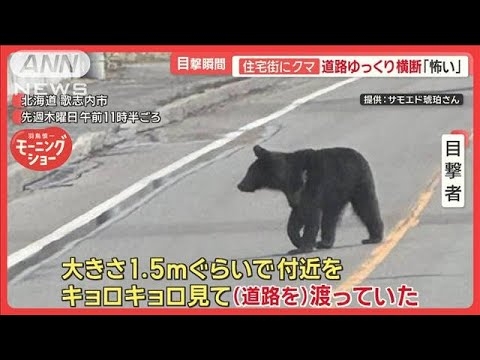 「眼球を取って縫合…」住宅ガラス突き破りクマ侵入、男女3人襲われる　長野・飯山市【羽鳥慎一モーニングショー】(2025年4月14日)