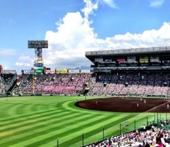 高校野球ロスの方語りませんか