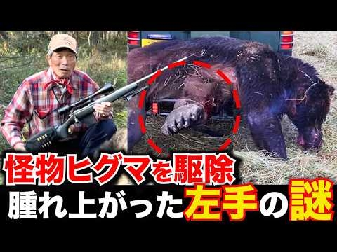 【ヒグマ駆除】NHKは取材NG、怪物ヒグマOSO18の舞台裏