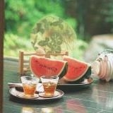 政府が国民の生活や健康や人権を第一に考えて守る国実際は真逆で、日本は海外では... | ガールズちゃんねる - Girls Channel -