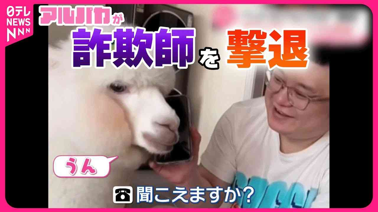 【芸能人の画像禁止】笑いのツボが浅いガル民に見せたい画像やgifが集まるトピ【悪意禁止】part9